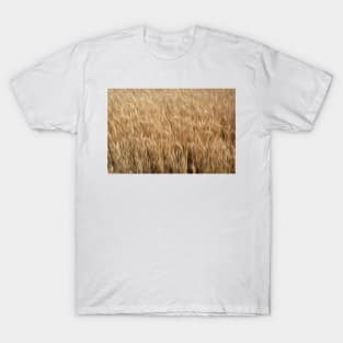 Wheatfield oil painting effect. T-Shirt